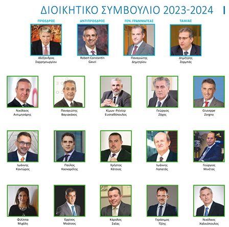 ΕΑΕΕ ΔΣ επιτροπες 2023 2024